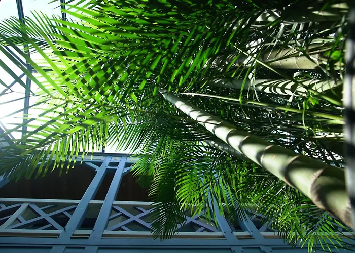 D'eaux * Villers-sur-Mer