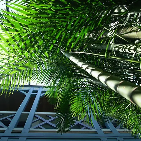 D'eaux * Villers-sur-Mer